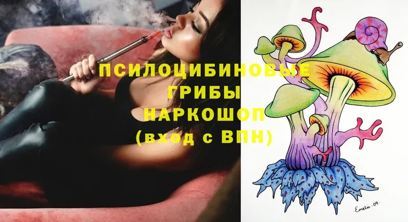 Галлюциногенные грибы Psilocybine cubensis  shop Telegram  Воткинск 